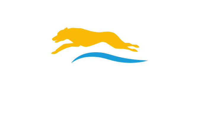 Kernow Paws Rehabilitation logo