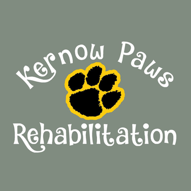 Kernow Paws Rehabilitation logo